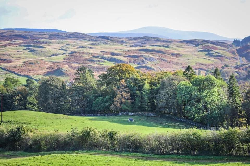 Luxury Rural Ayrshire Glamping Pod Campsite