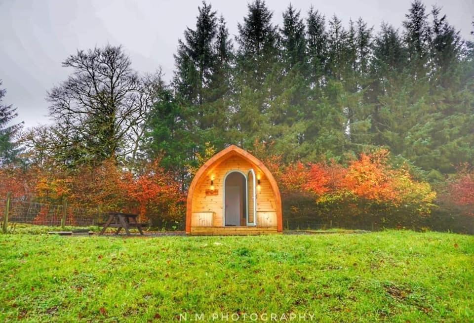 Luxury Rural Ayrshire Glamping Pod * Dalmellington