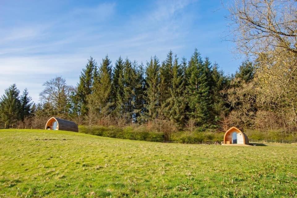Luxury Rural Ayrshire Glamping Pod *
