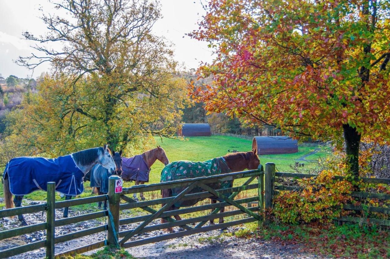 Luxury Rural Ayrshire Glamping Pod